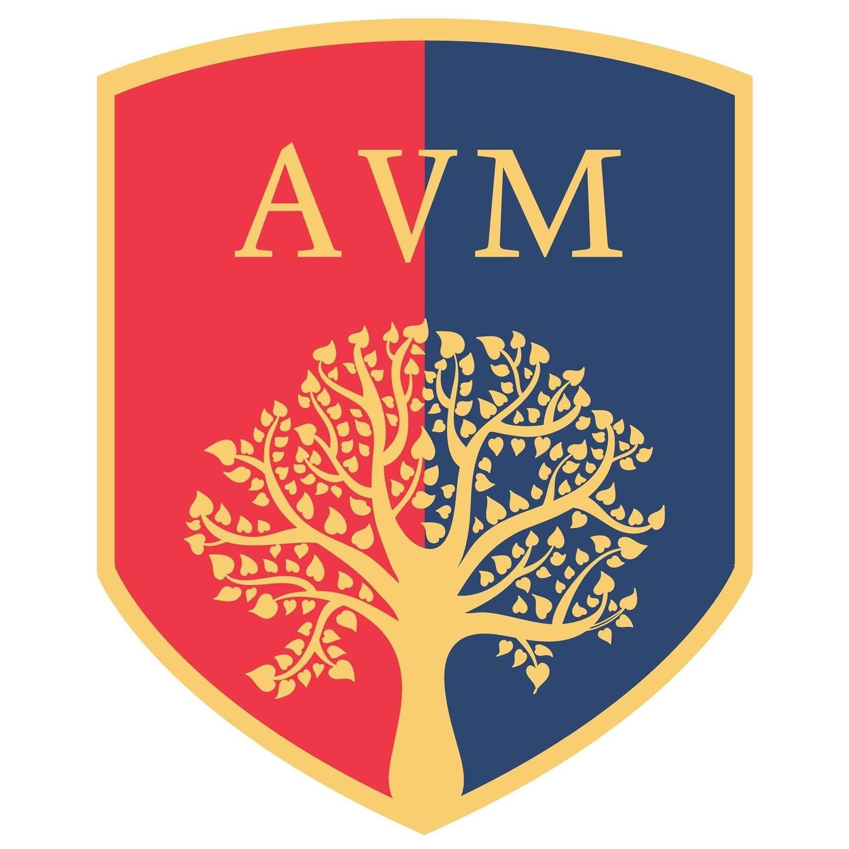 AVM School Logo